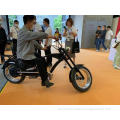 High Quality 60v 1000w Electric Bicycle